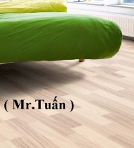 SÀN GỖ TÂN THỊNH